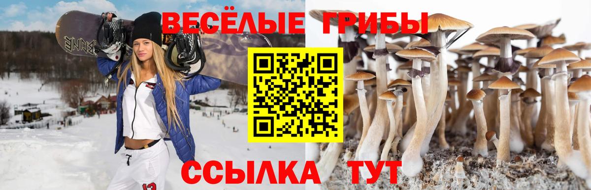 Псилоцибиновые грибы GOLDEN TEACHER Прокопьевск
